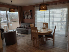 Charmant appartement au bord du Thiou - Annecy